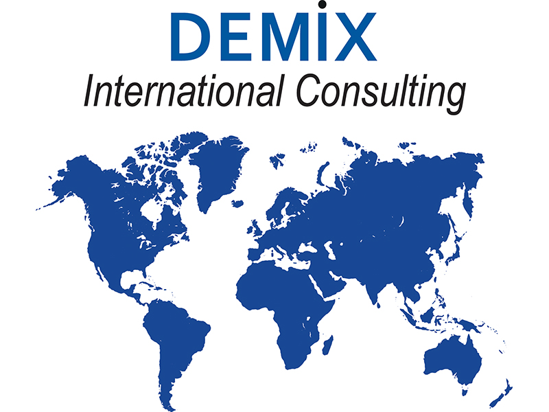 Icona-Demix-International-Consulting