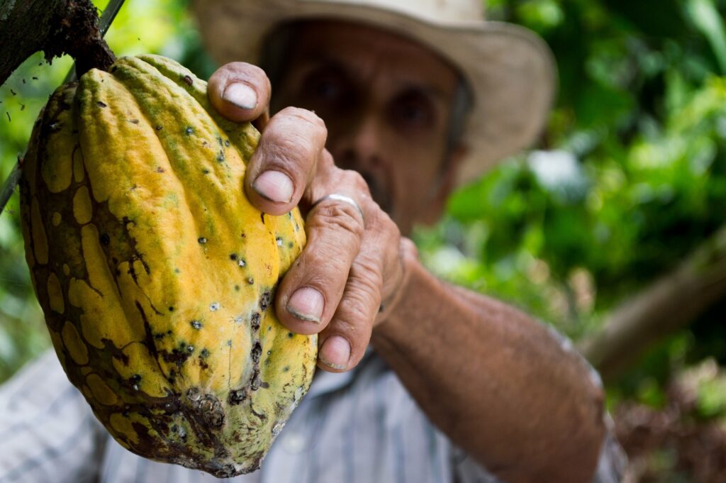 Foto-di-un-uomo-con-un-frutto-ECOMO