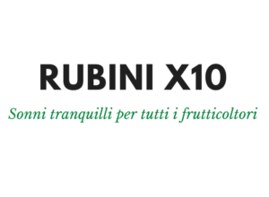 Rubini-X10-1-768x564