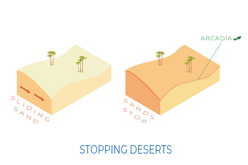 immagine-con-deserti-Demix-Arcadia